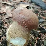 Semesterbostad під горою 2
