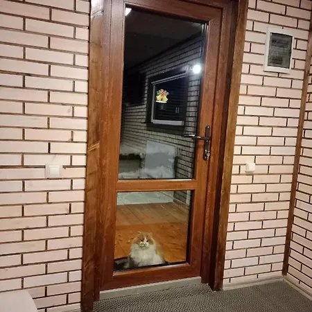 під горою 2 * Sheshory