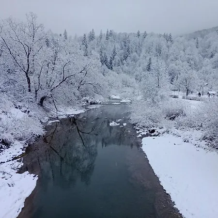 під горою 2 別荘 *