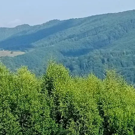 під горою 2 * Sheshory