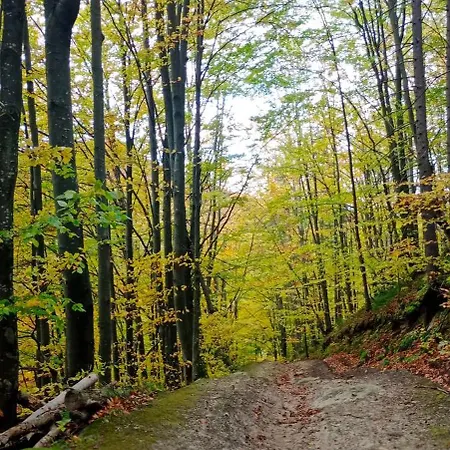 під горою 2 Vakantiehuis *