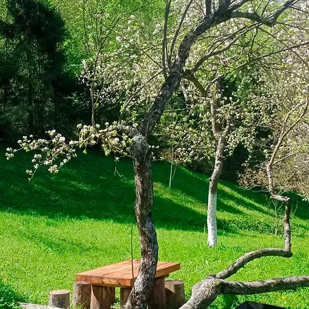 під горою 2 Holiday home Sheshory