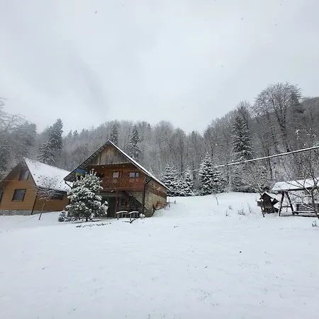 під горою 2 * Sheshory