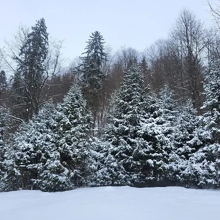 під горою 2 別荘 *