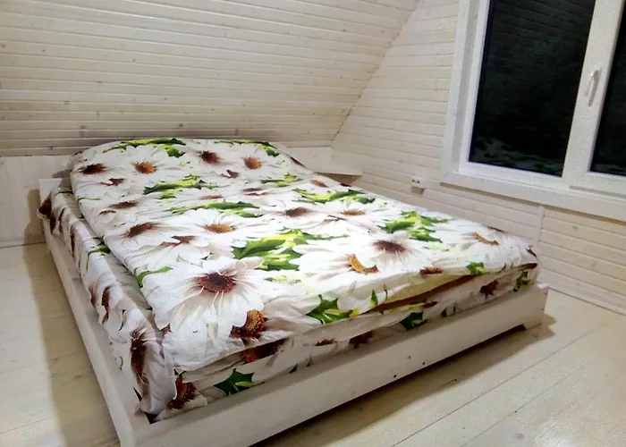 度假居 під горою 2