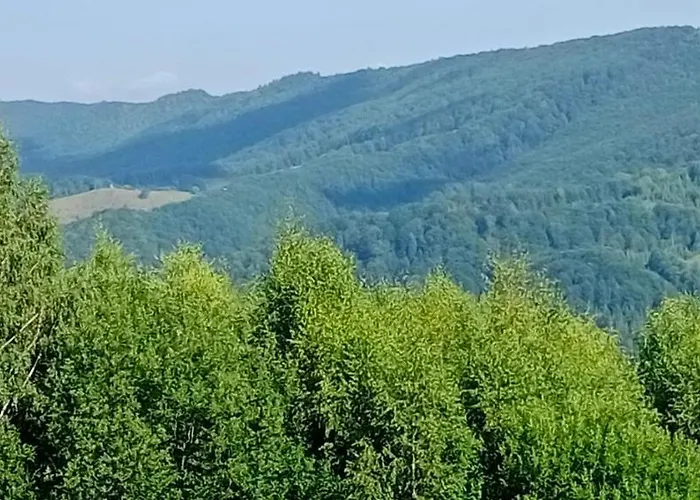 під горою 2 * 舍绍里