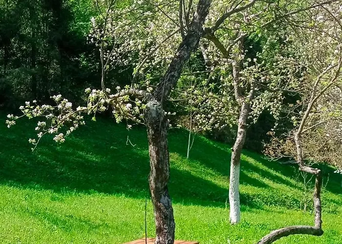 під горою 2 度假居 舍绍里