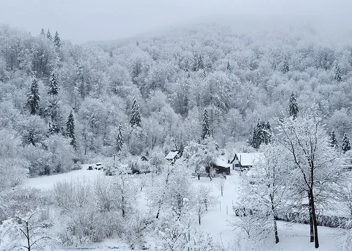 度假居 під горою 2