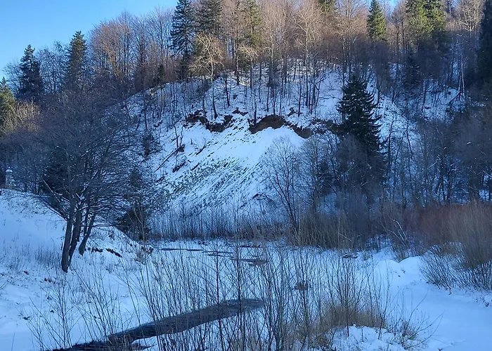 度假居 під горою 2 *